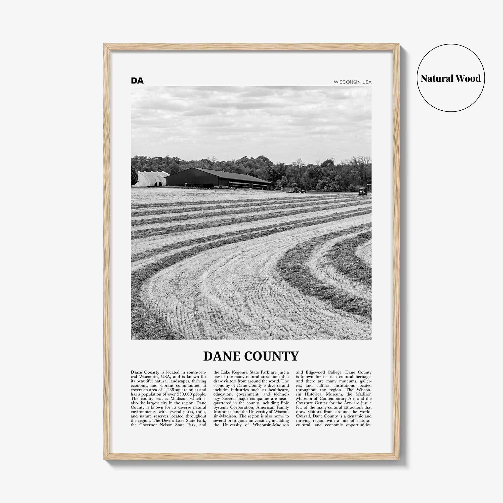 Dane County Print Black and White, Dane County Wall Art, Dane County Poster, Dane County Photo, Dane County Wall Décor, Dane County Map