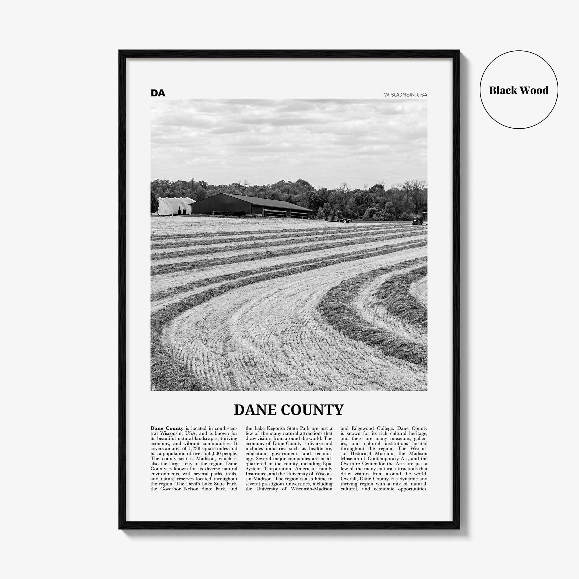 Dane County Print Black and White, Dane County Wall Art, Dane County Poster, Dane County Photo, Dane County Wall Décor, Dane County Map