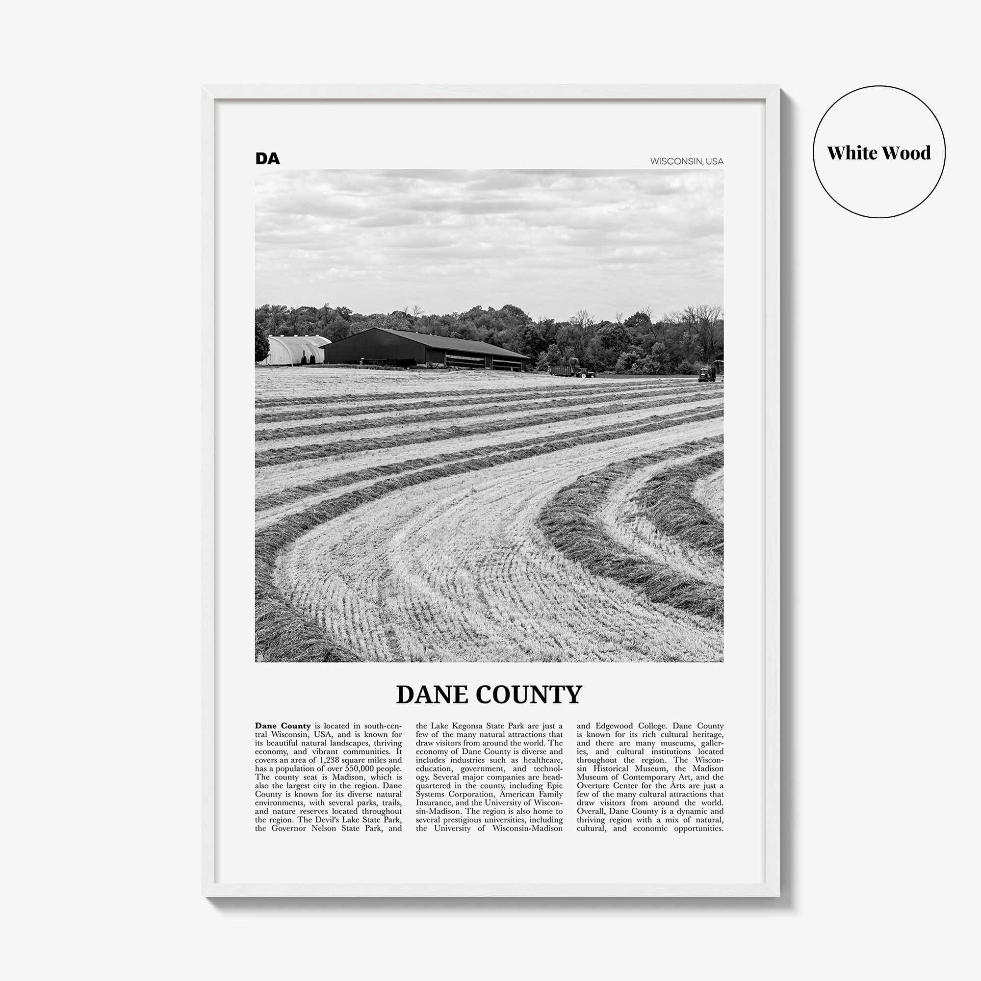 Dane County Print Black and White, Dane County Wall Art, Dane County Poster, Dane County Photo, Dane County Wall Décor, Dane County Map
