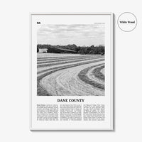 Dane County Print Black and White, Dane County Wall Art, Dane County Poster, Dane County Photo, Dane County Wall Décor, Dane County Map
