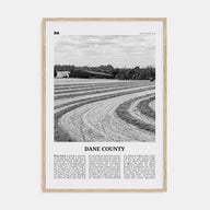 Dane County Travel B&W Poster