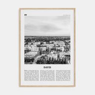 Davis Travel B&W Poster