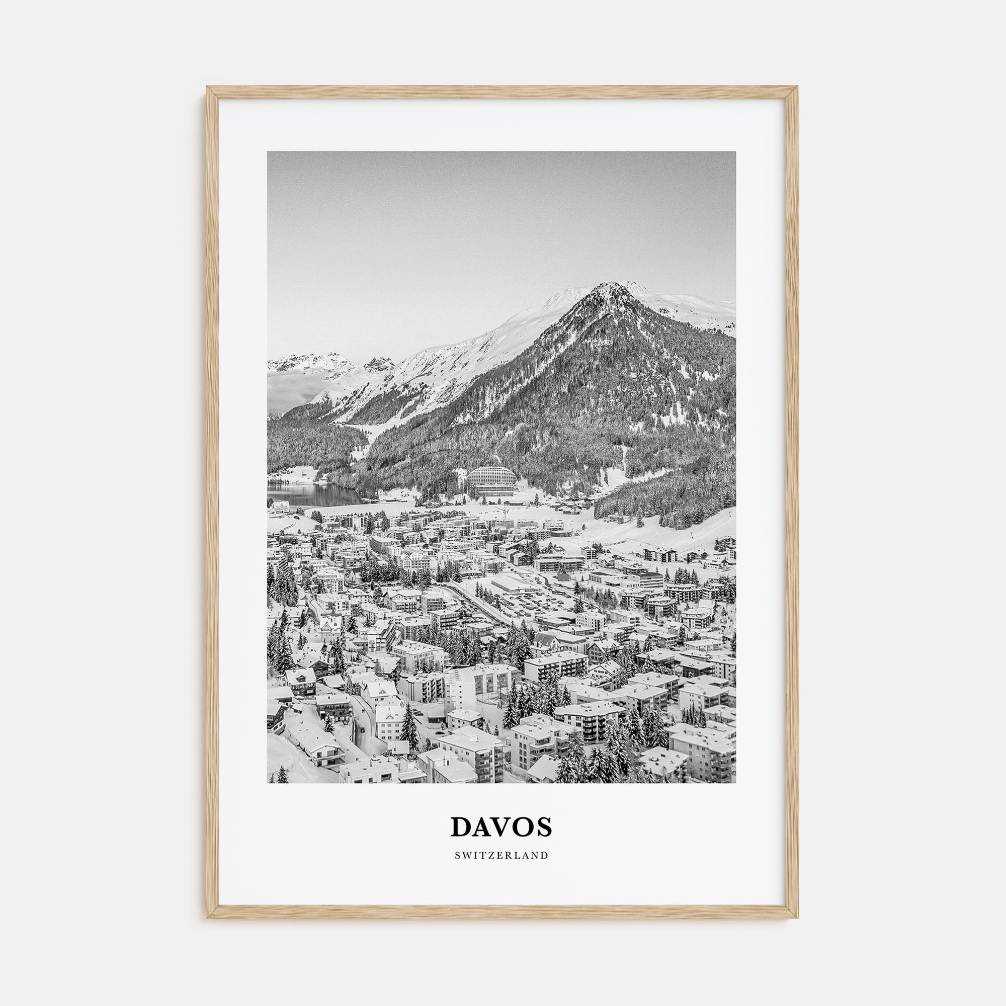 Davos Portrait B&W Poster