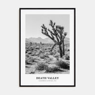 Death Valley Portrait B&W No 1 Poster