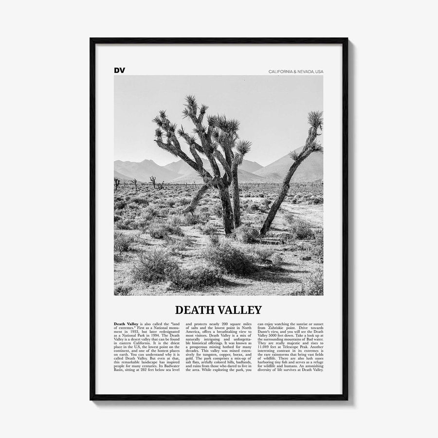 Death Valley Print Black and White No 1, Death Valley Wall Art, Death Valley Poster, Death Valley Photo, California, Nevada, USA