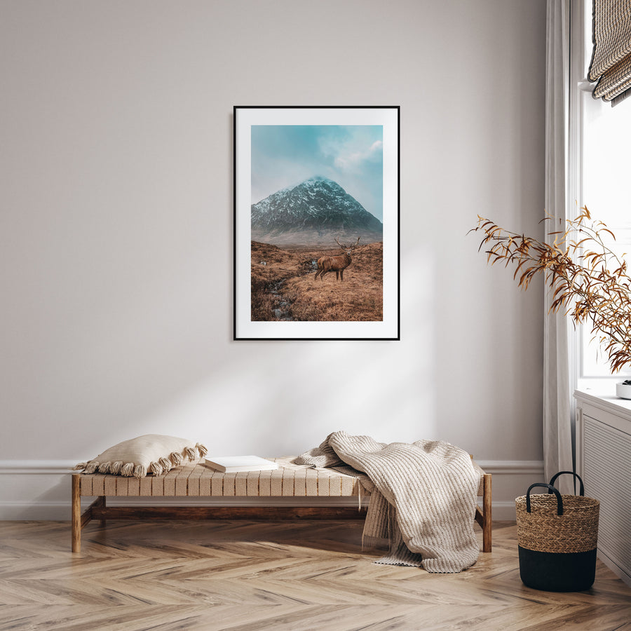 Deer Photo Color No 1 Poster
