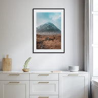 Deer Photo Color No 1 Poster