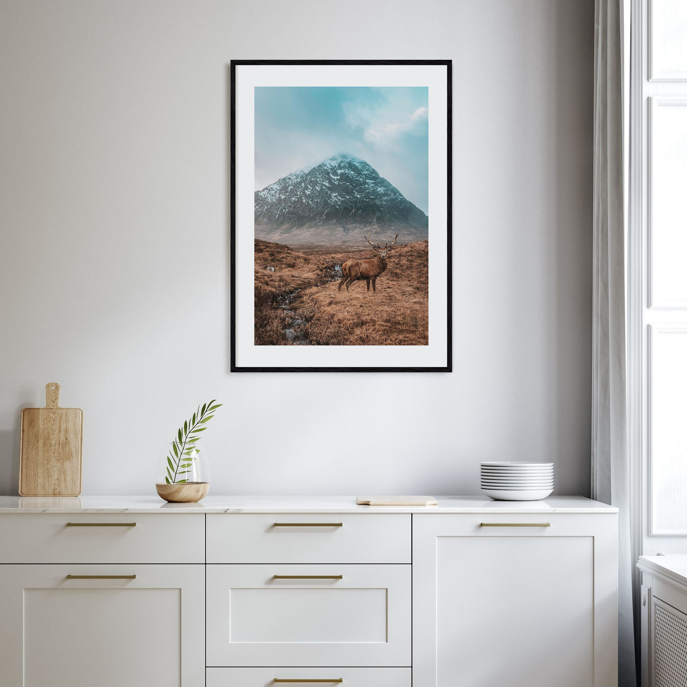 Deer Photo Color No 1 Poster