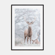 Deer Photo Color No 3 Poster