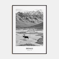 Denali Portrait B&W Poster