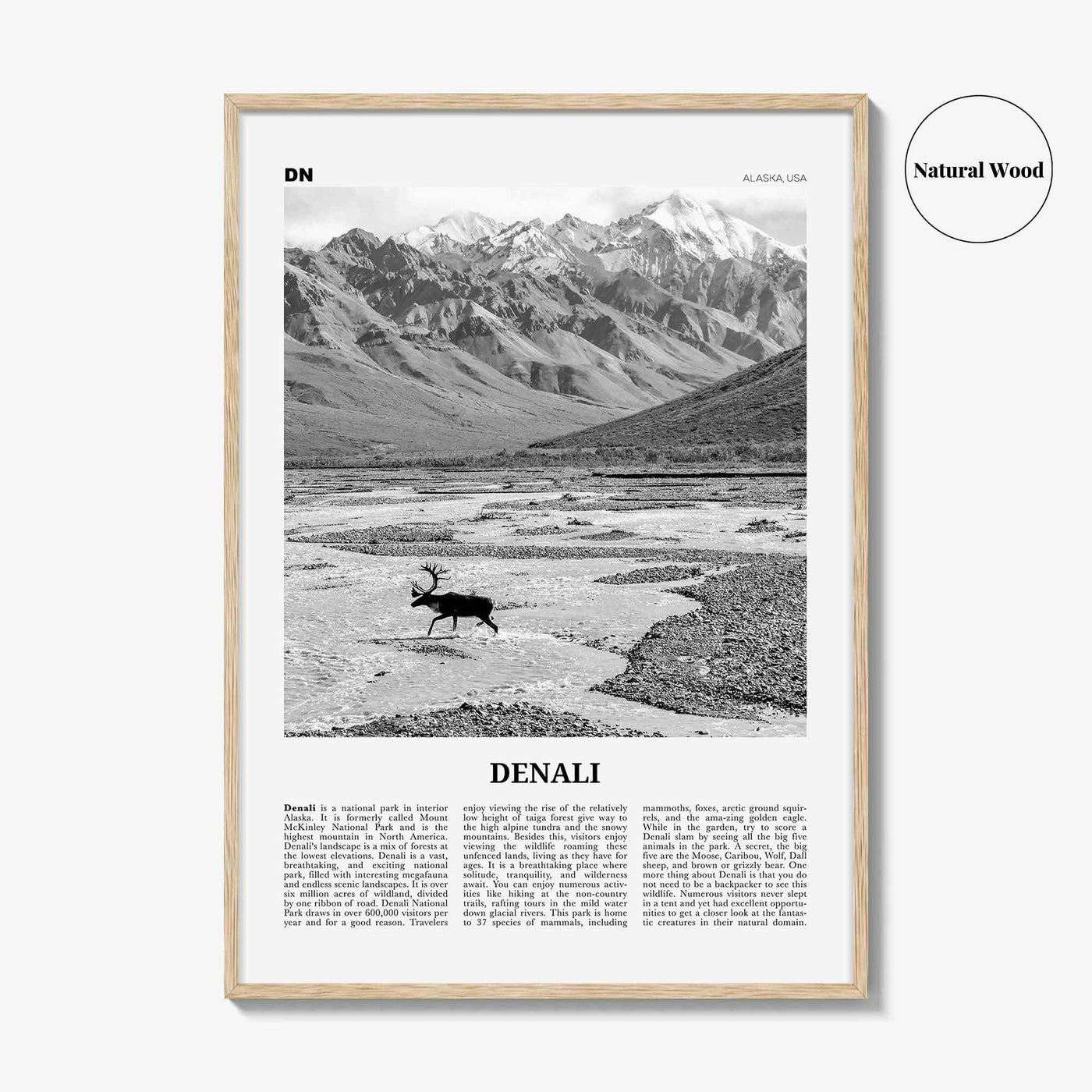 Denali Print Black and White, Denali Wall Art, Denali Poster, Denali Photo, Alaska, USA, United States, North America