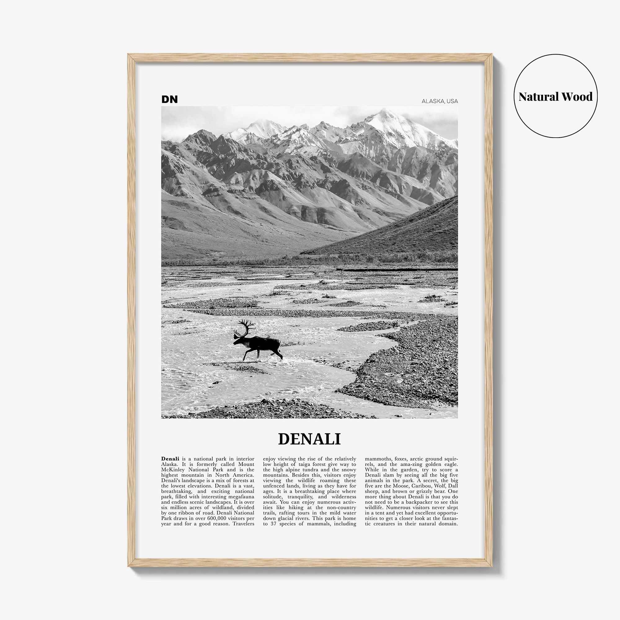 Denali Print Black and White, Denali Wall Art, Denali Poster, Denali Photo, Alaska, USA, United States, North America