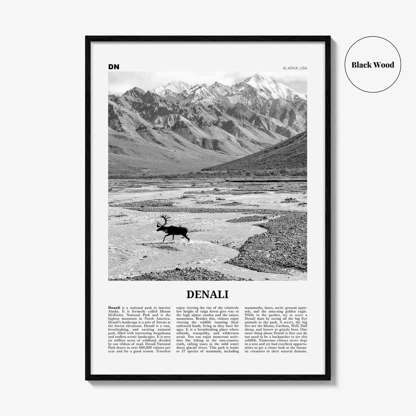 Denali Print Black and White, Denali Wall Art, Denali Poster, Denali Photo, Alaska, USA, United States, North America
