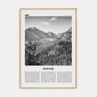 Denver Travel B&W No 1 Poster