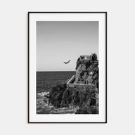 Diving Photo B&W Poster