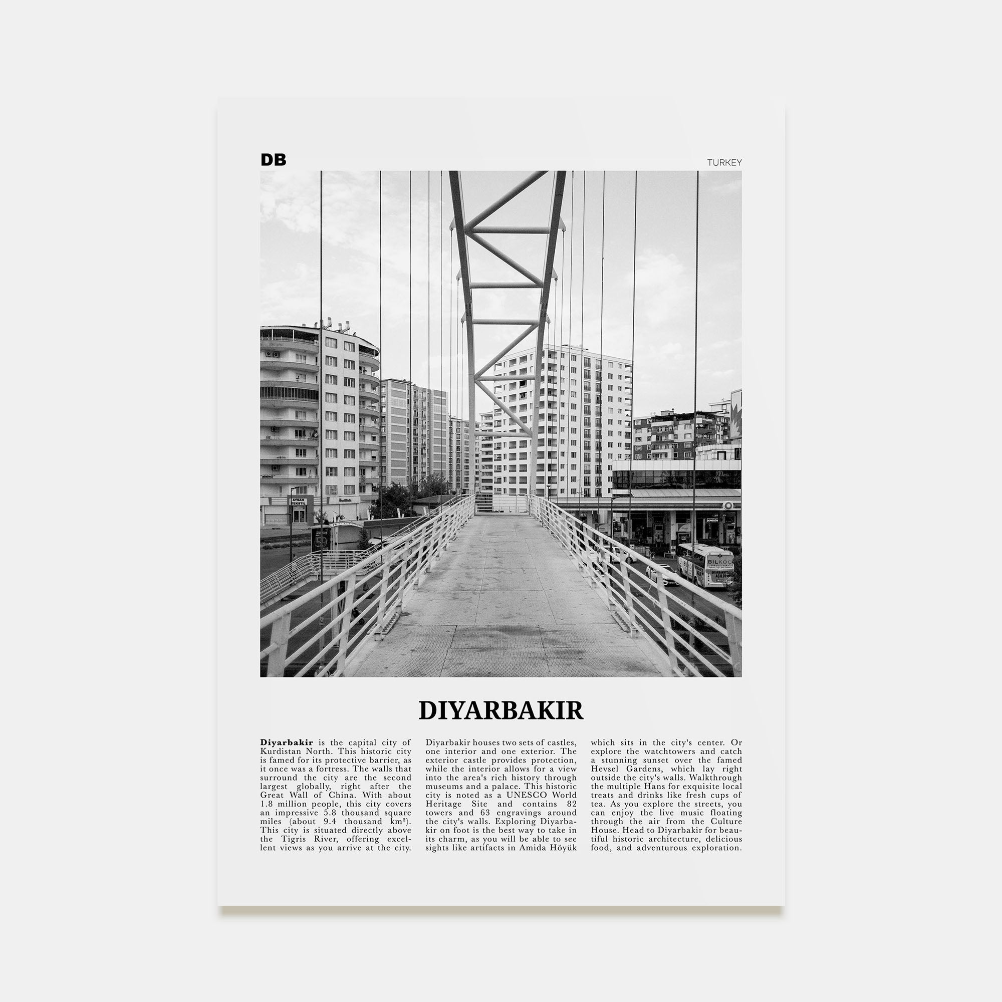 Diyarbakir Travel B&W Poster
