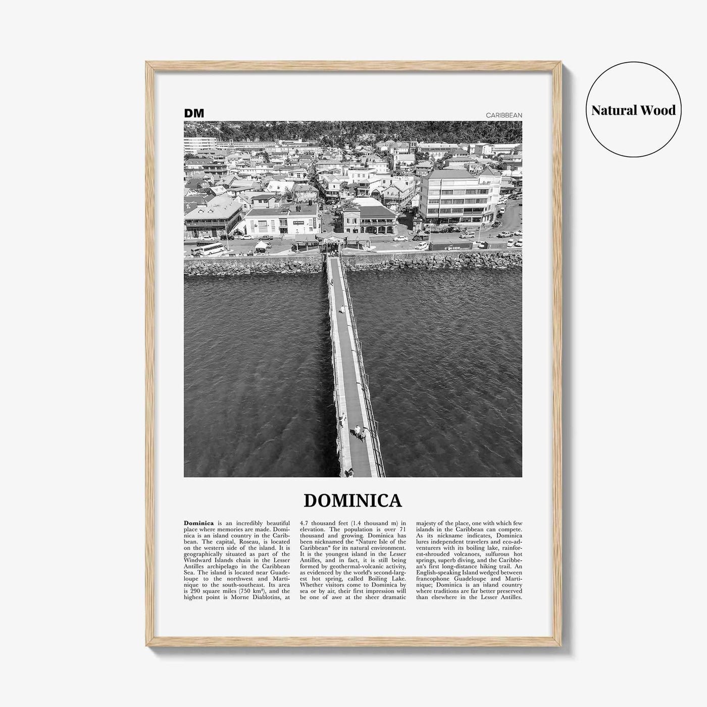 Dominica Print Black and White, Dominica Wall Art, Dominica Poster, Dominica Photo, Dominica Wall Decor, Country Print, Roseau, Caribbean