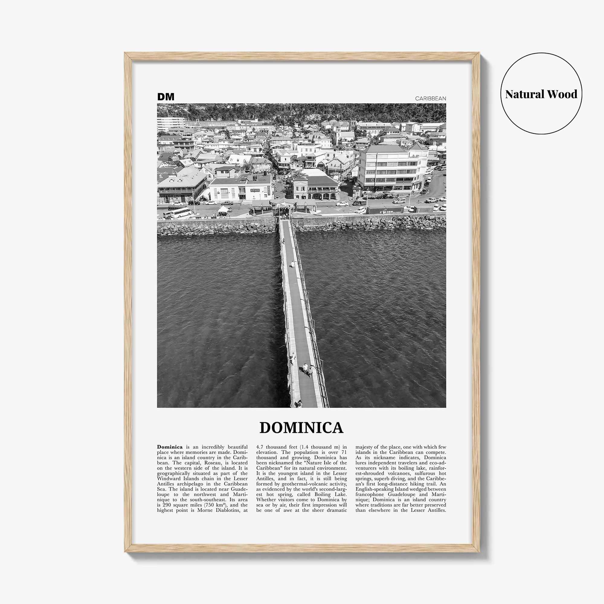 Dominica Print Black and White, Dominica Wall Art, Dominica Poster, Dominica Photo, Dominica Wall Decor, Country Print, Roseau, Caribbean