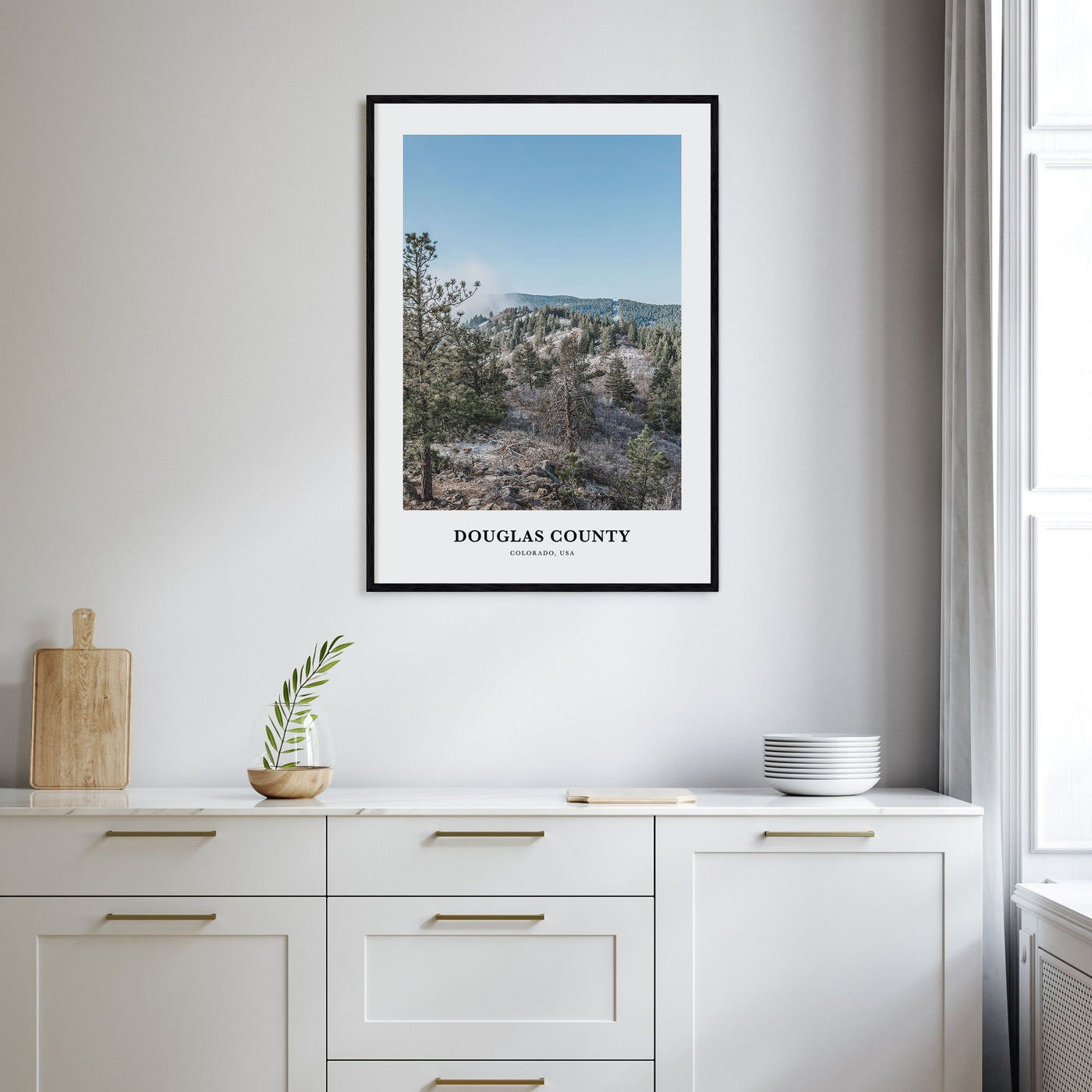 Douglas County Portrait Color Poster