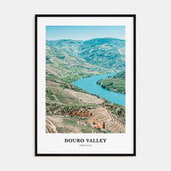 Douro Valley Portrait Color Poster