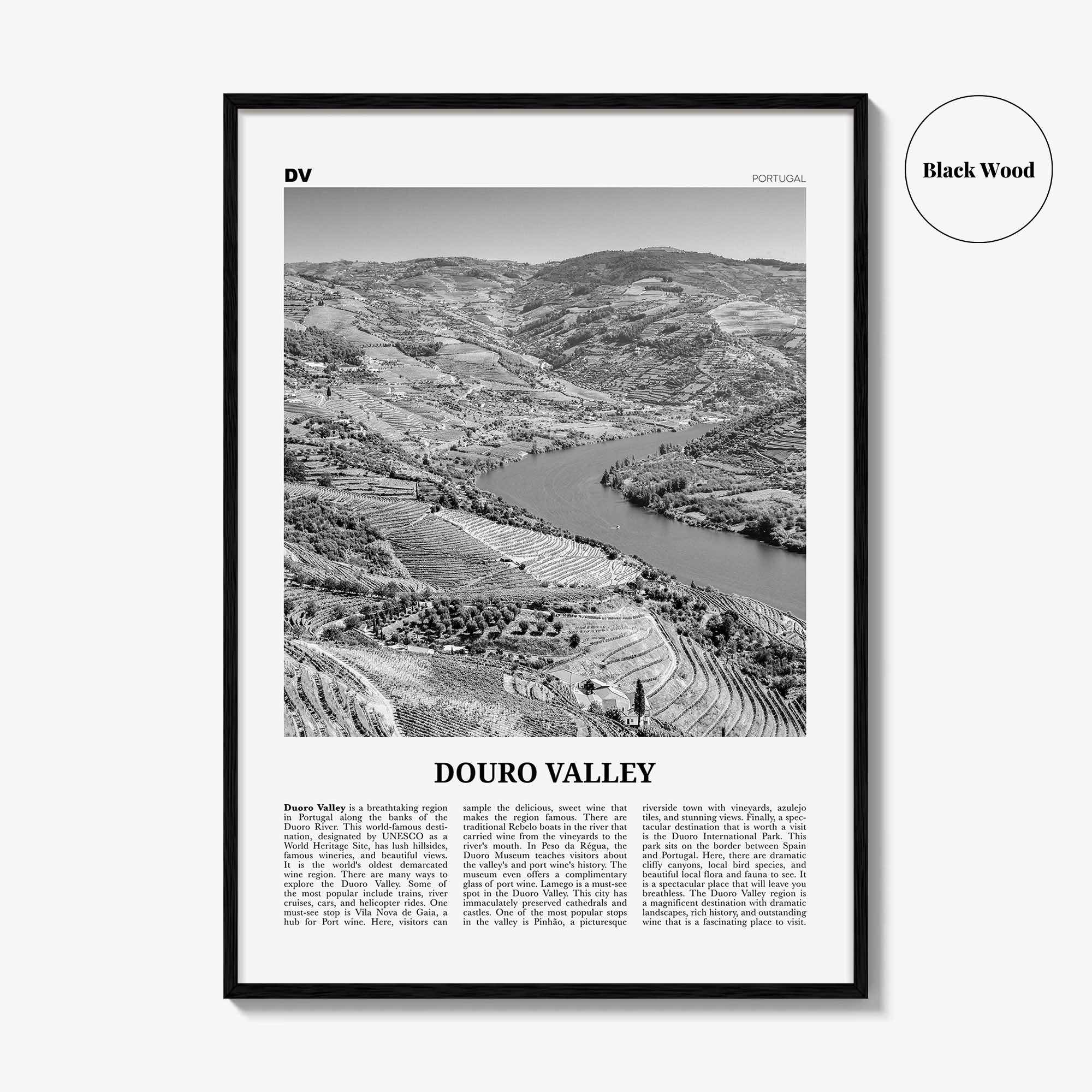 Douro Valley Print Black and White, Douro Valley Wall Art, Douro Valley Poster, Douro Valley Photo, Portugal, Europe