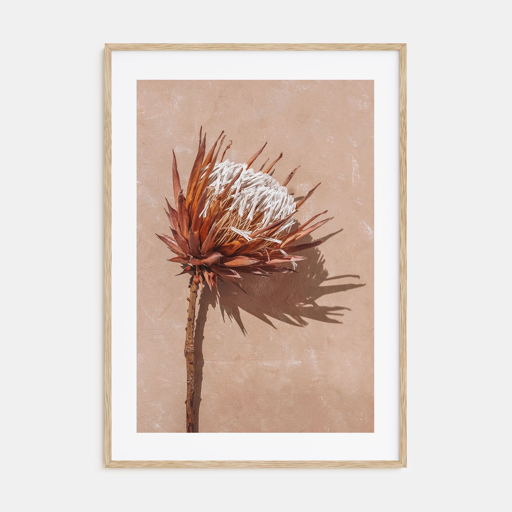 Dried Exotic Flower Photo Color Poster