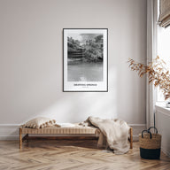 Dripping Springs Portrait B&W Poster