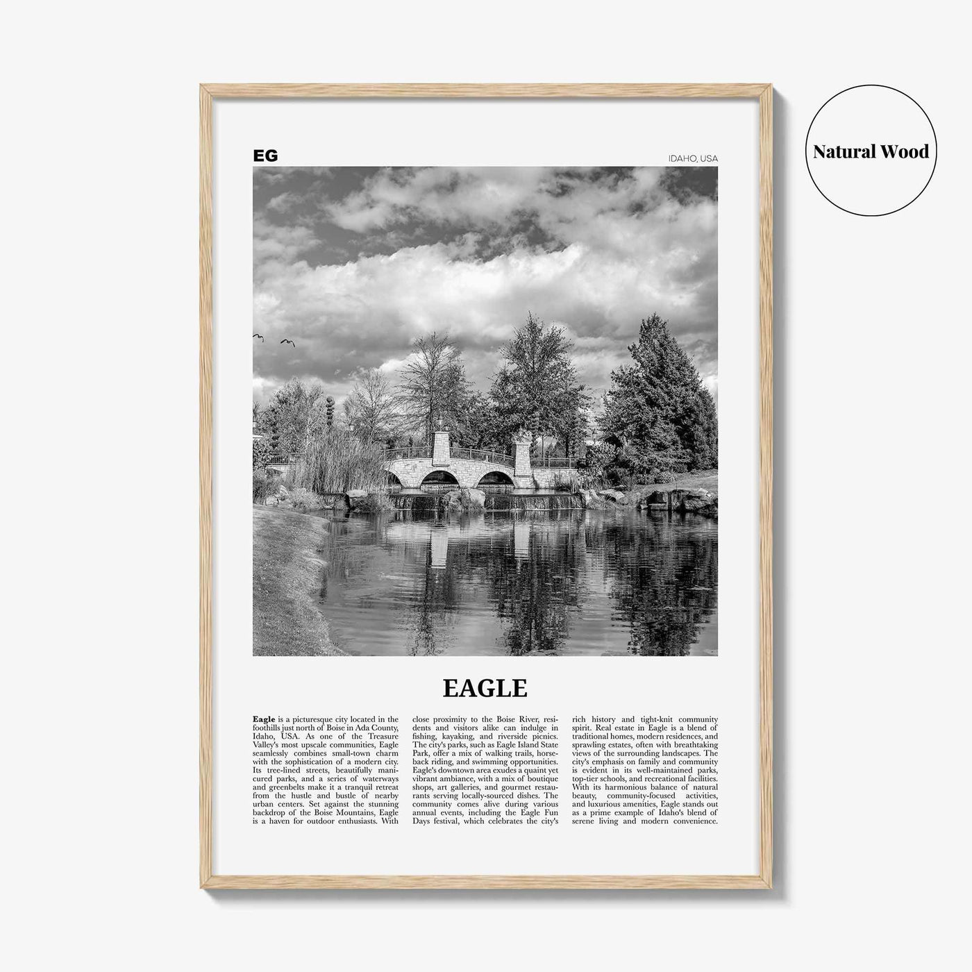 Eagle Print Black and White, Eagle Wall Art, Eagle Poster, Eagle Photo, Eagle Wall Décor, Eagle Map Poster