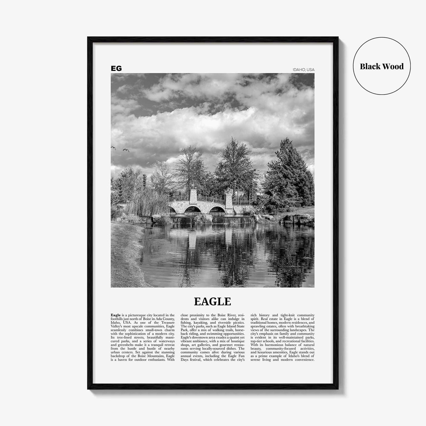 Eagle Print Black and White, Eagle Wall Art, Eagle Poster, Eagle Photo, Eagle Wall Décor, Eagle Map Poster