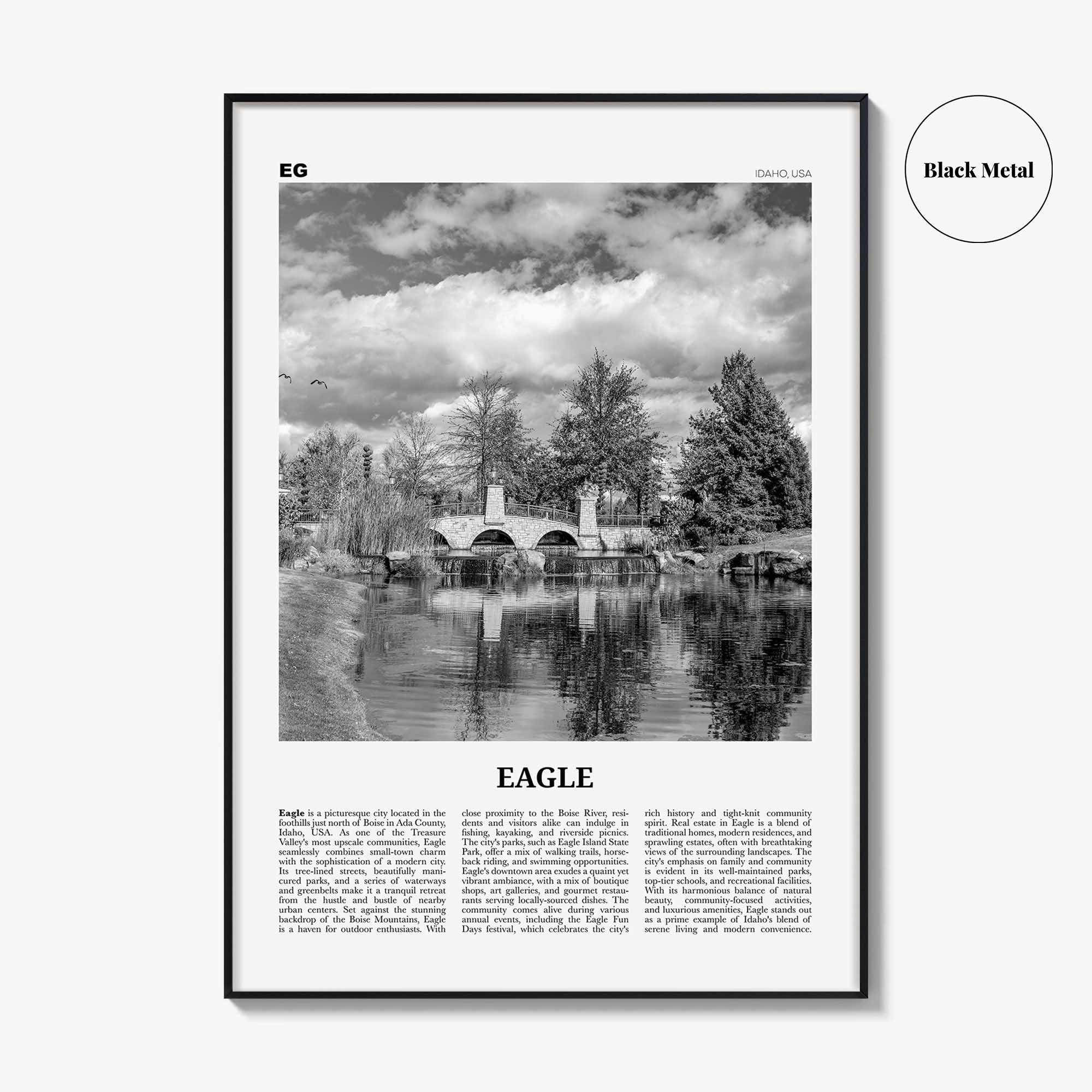 Eagle Print Black and White, Eagle Wall Art, Eagle Poster, Eagle Photo, Eagle Wall Décor, Eagle Map Poster