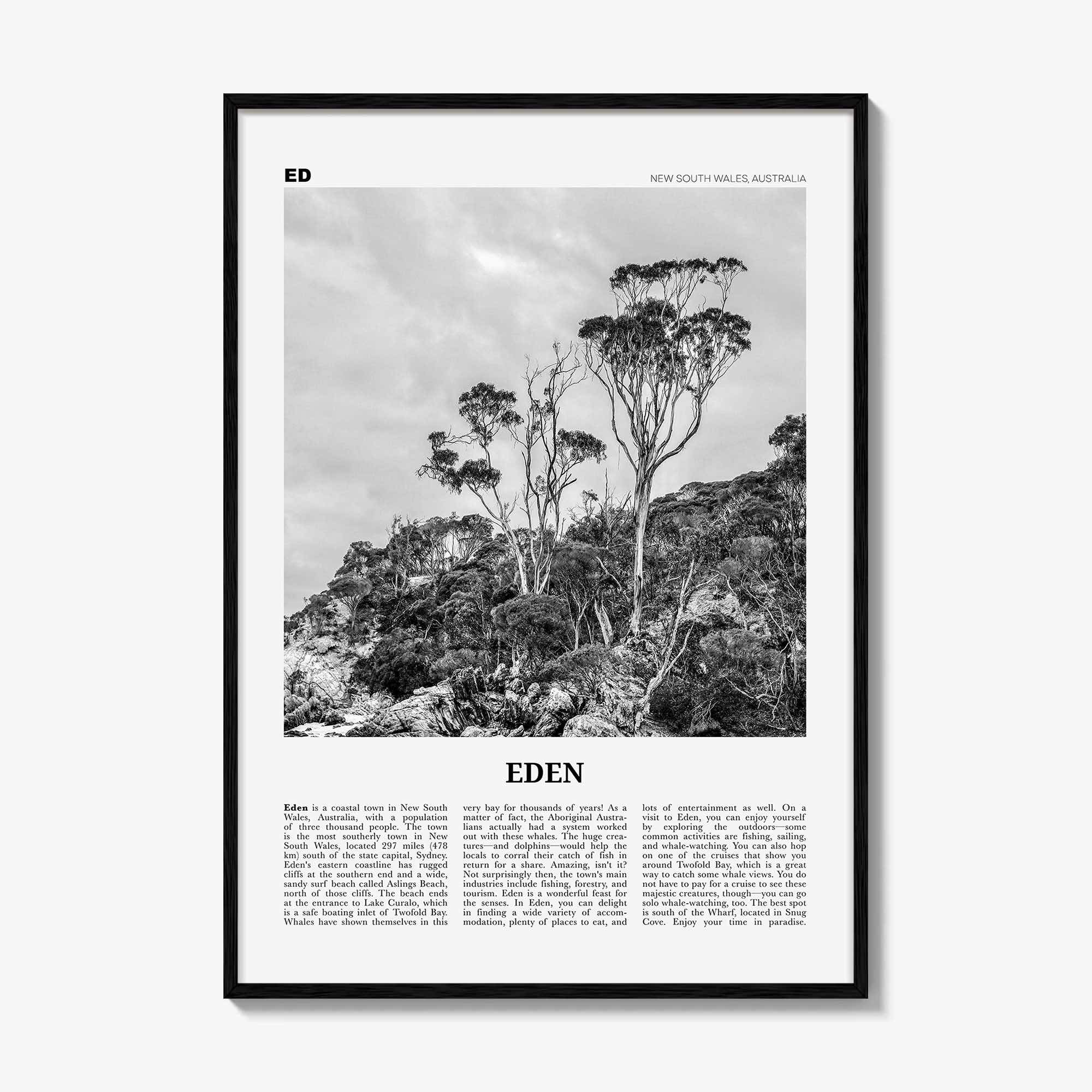 Eden Print Black and White, Eden Wall Art, Eden Poster, Eden Photo, Eden Wall Décor, New South Wales, Australia