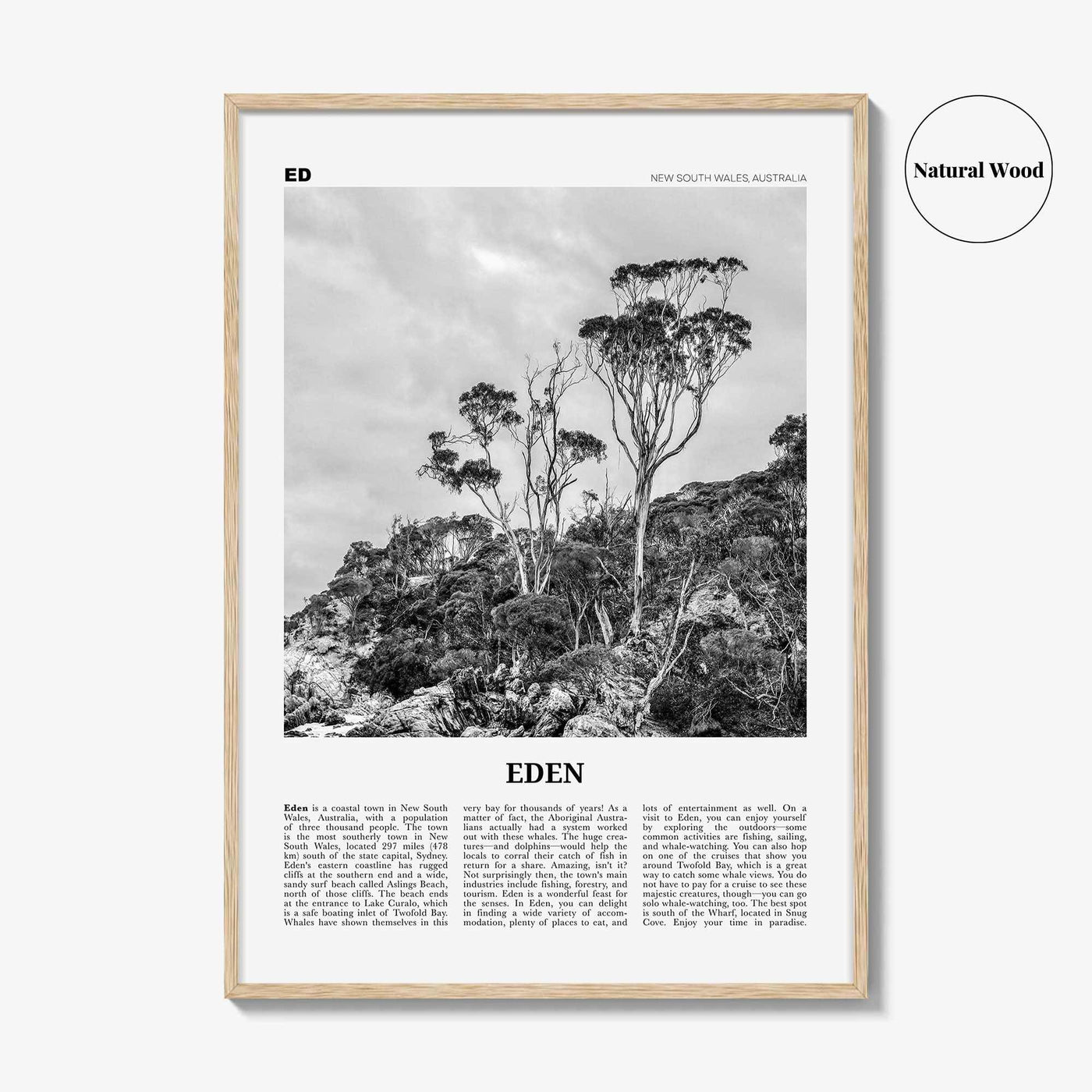 Eden Print Black and White, Eden Wall Art, Eden Poster, Eden Photo, Eden Wall Décor, New South Wales, Australia