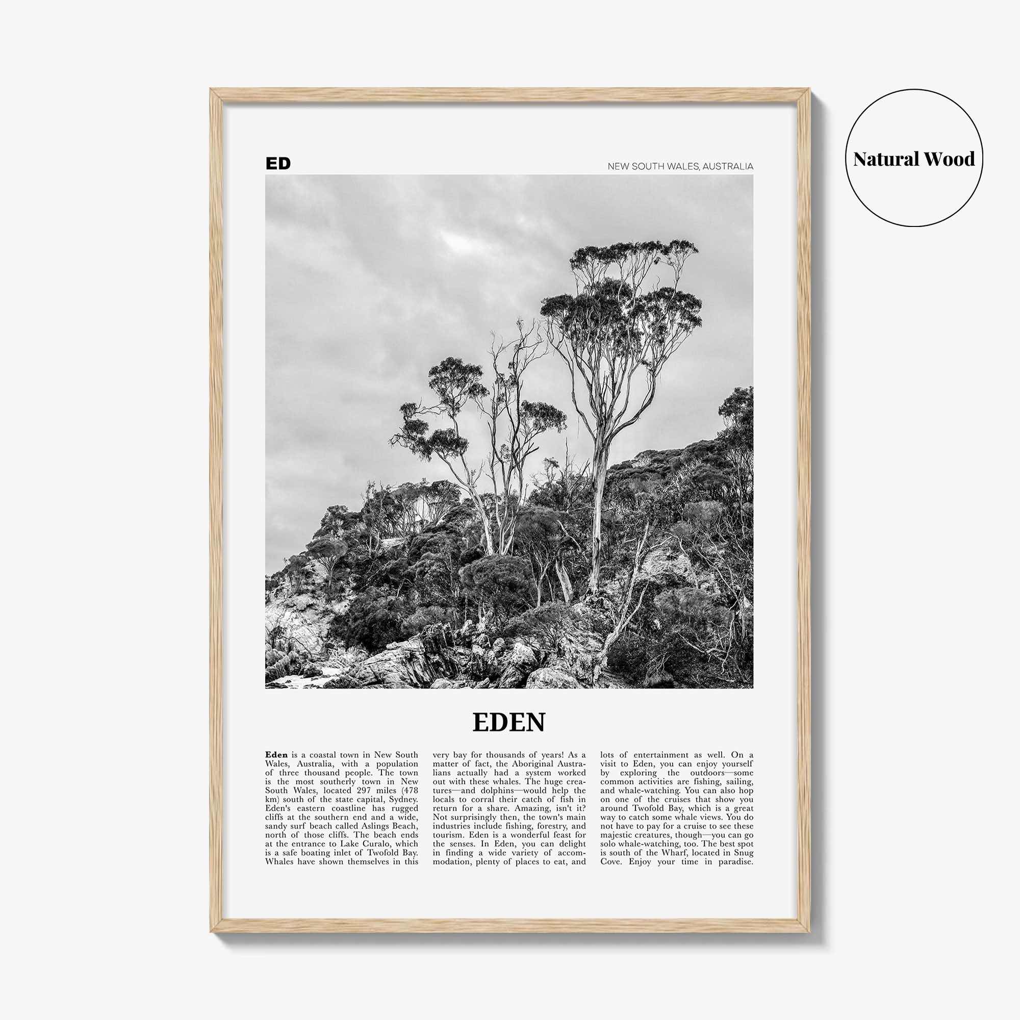 Eden Print Black and White, Eden Wall Art, Eden Poster, Eden Photo, Eden Wall Décor, New South Wales, Australia