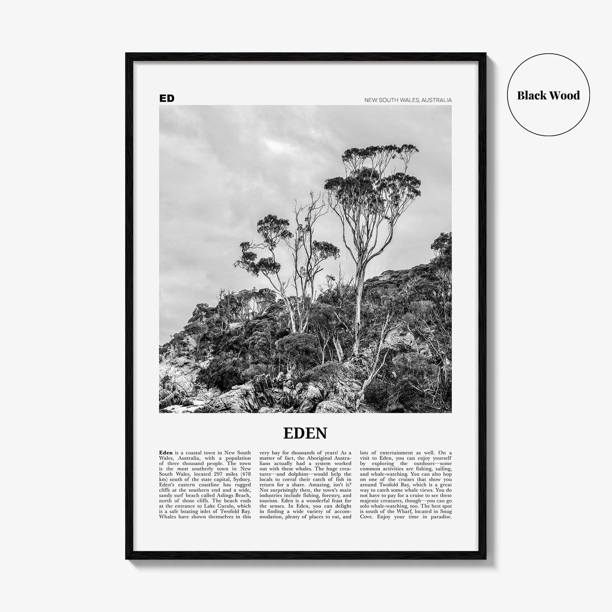 Eden Print Black and White, Eden Wall Art, Eden Poster, Eden Photo, Eden Wall Décor, New South Wales, Australia