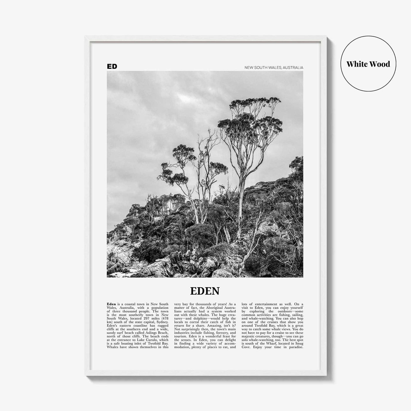 Eden Print Black and White, Eden Wall Art, Eden Poster, Eden Photo, Eden Wall Décor, New South Wales, Australia