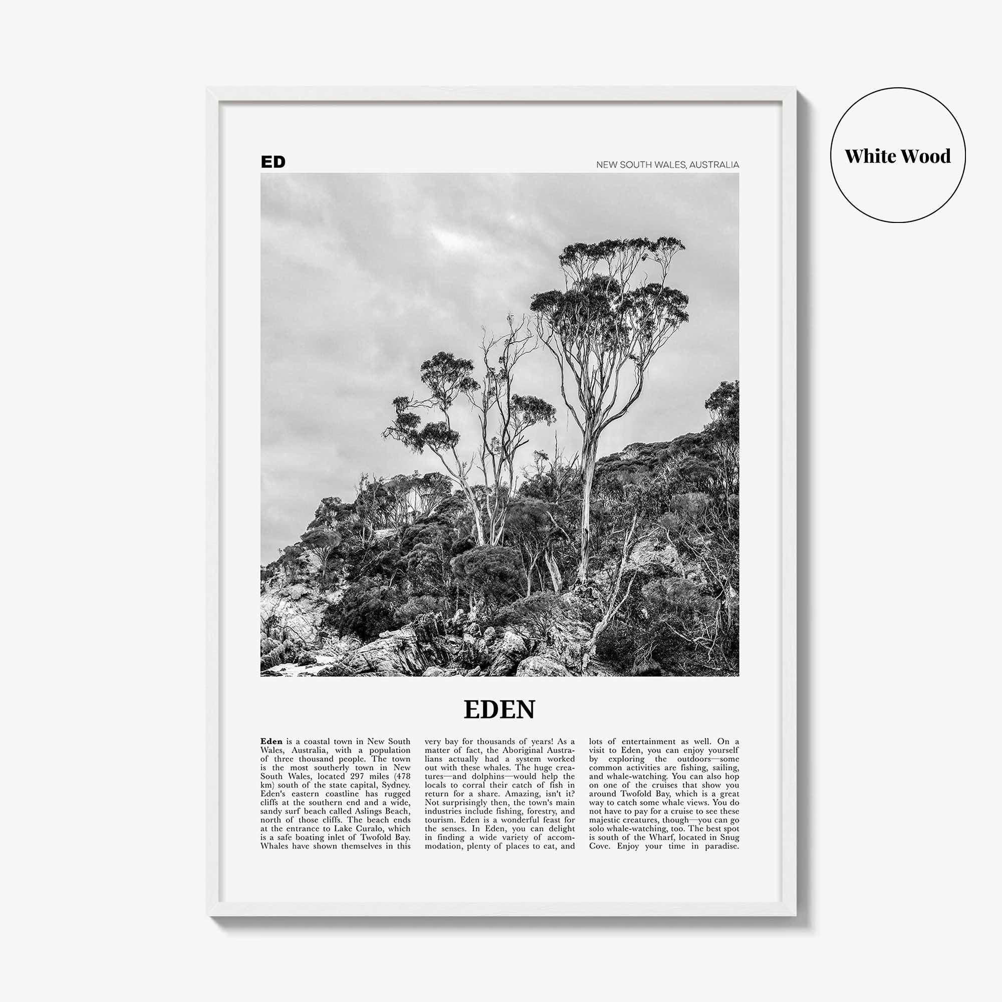Eden Print Black and White, Eden Wall Art, Eden Poster, Eden Photo, Eden Wall Décor, New South Wales, Australia