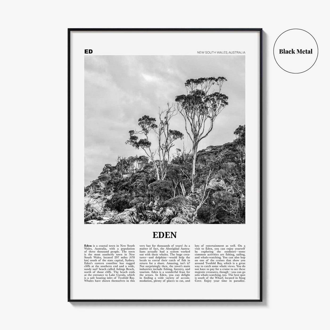 Eden Print Black and White, Eden Wall Art, Eden Poster, Eden Photo, Eden Wall Décor, New South Wales, Australia