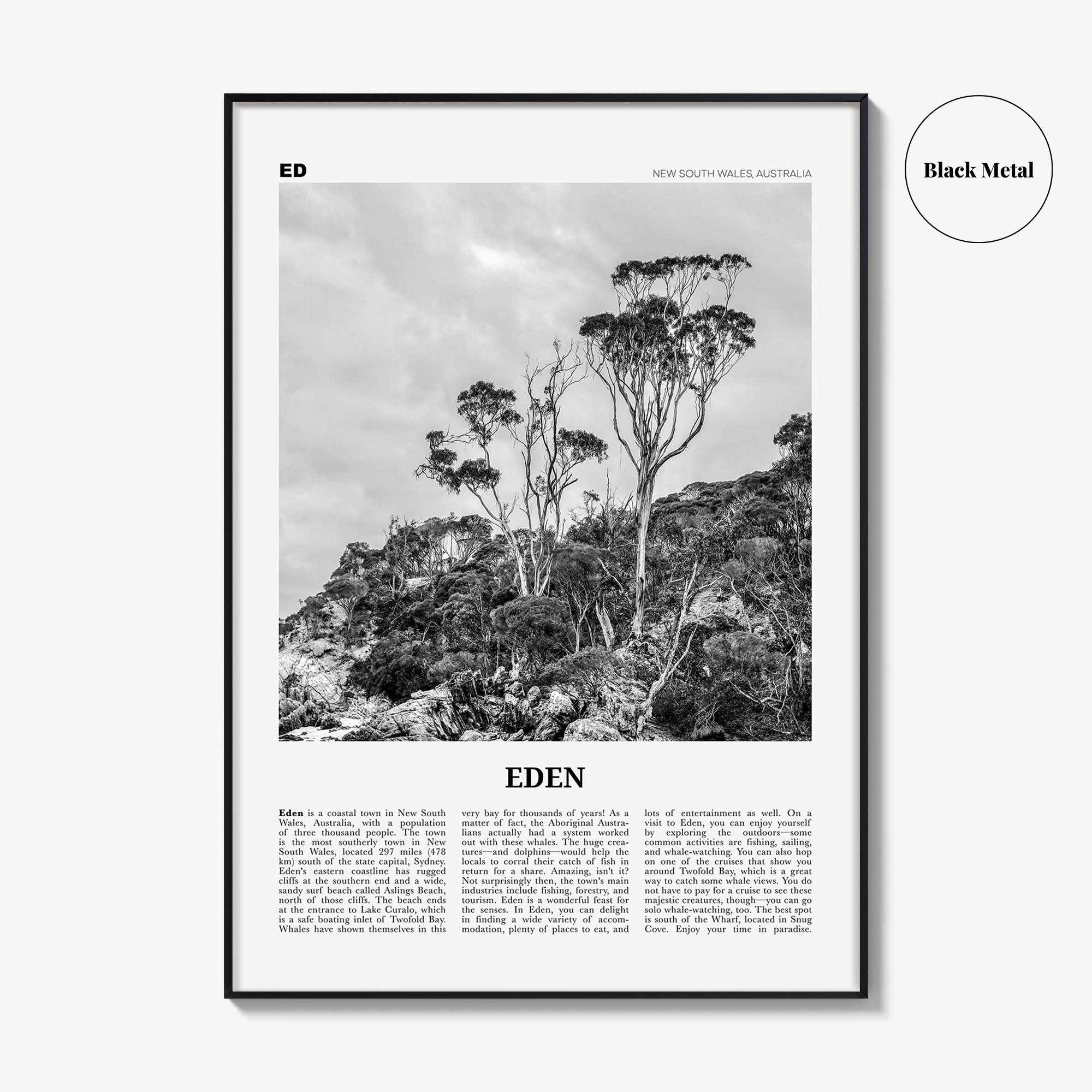 Eden Print Black and White, Eden Wall Art, Eden Poster, Eden Photo, Eden Wall Décor, New South Wales, Australia