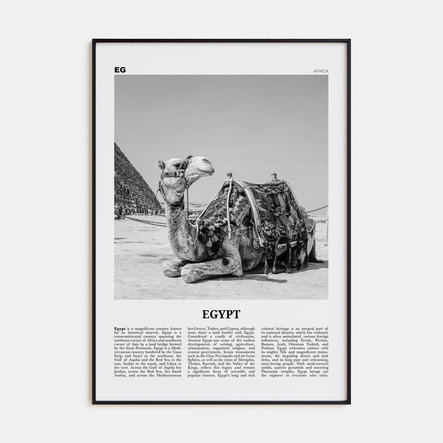Egypt Travel B&W No 2 Poster