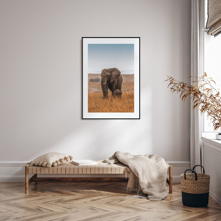 Elephant Photo Color No 2 Poster