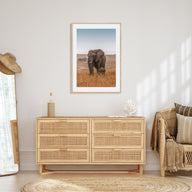 Elephant Photo Color No 2 Poster