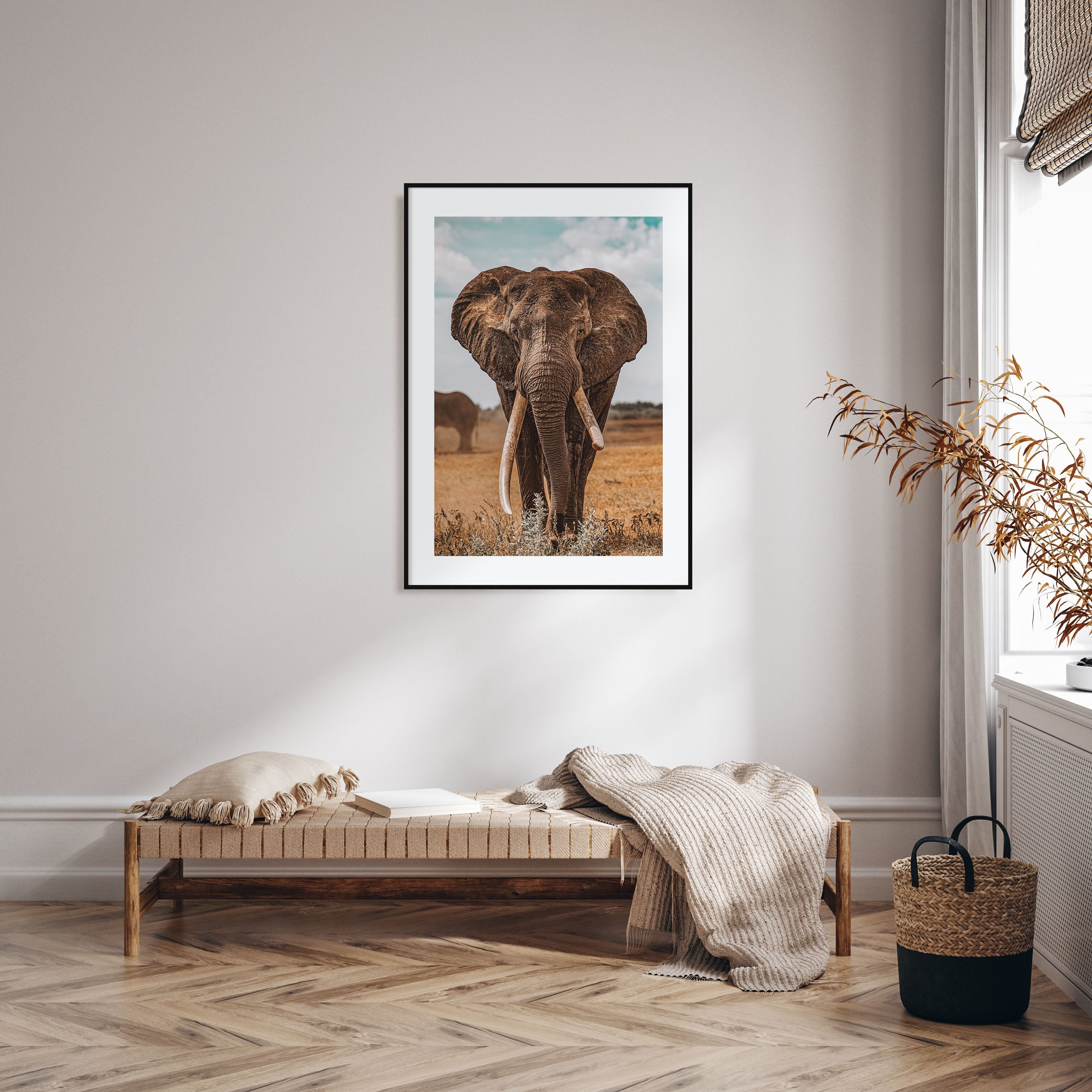 Elephant Photo Color No 3 Poster