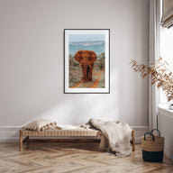 Elephant Photo Color No 4 Poster