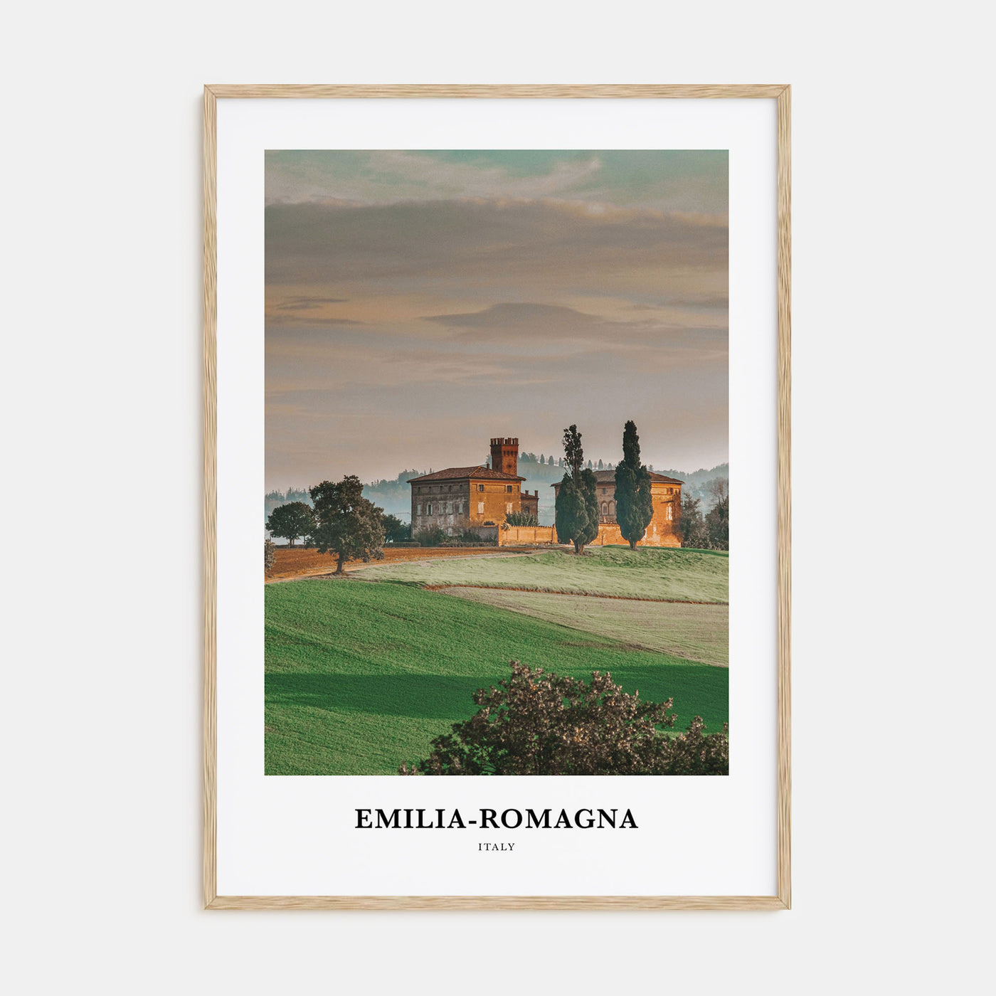 Emilia-Romagna Portrait Color Poster