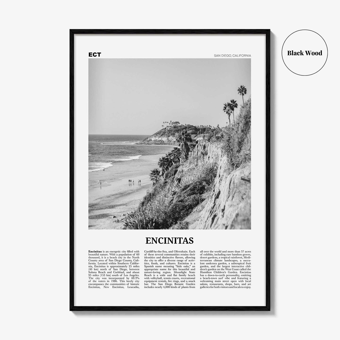 Encinitas Print Black and White No 1, Encinitas Wall Art, Encinitas Poster, San Diego Poster Print, California, USA, United States