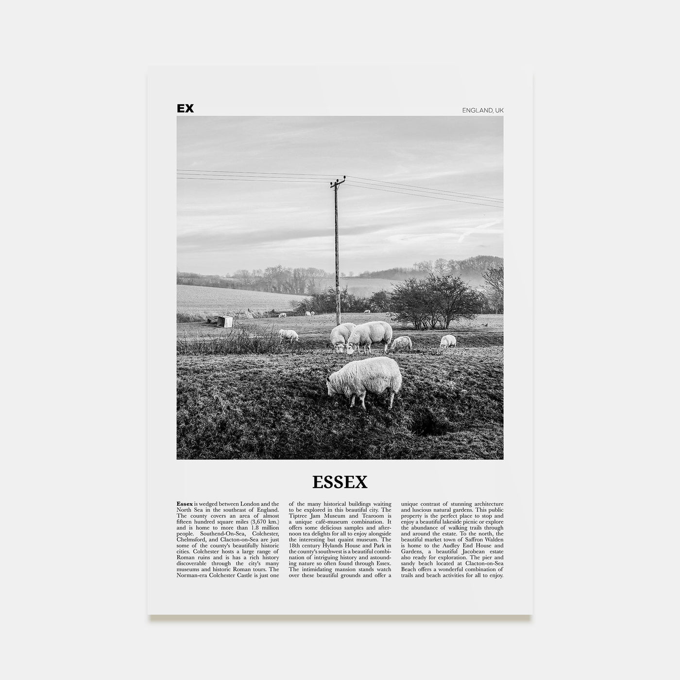 Essex Travel B&W Poster