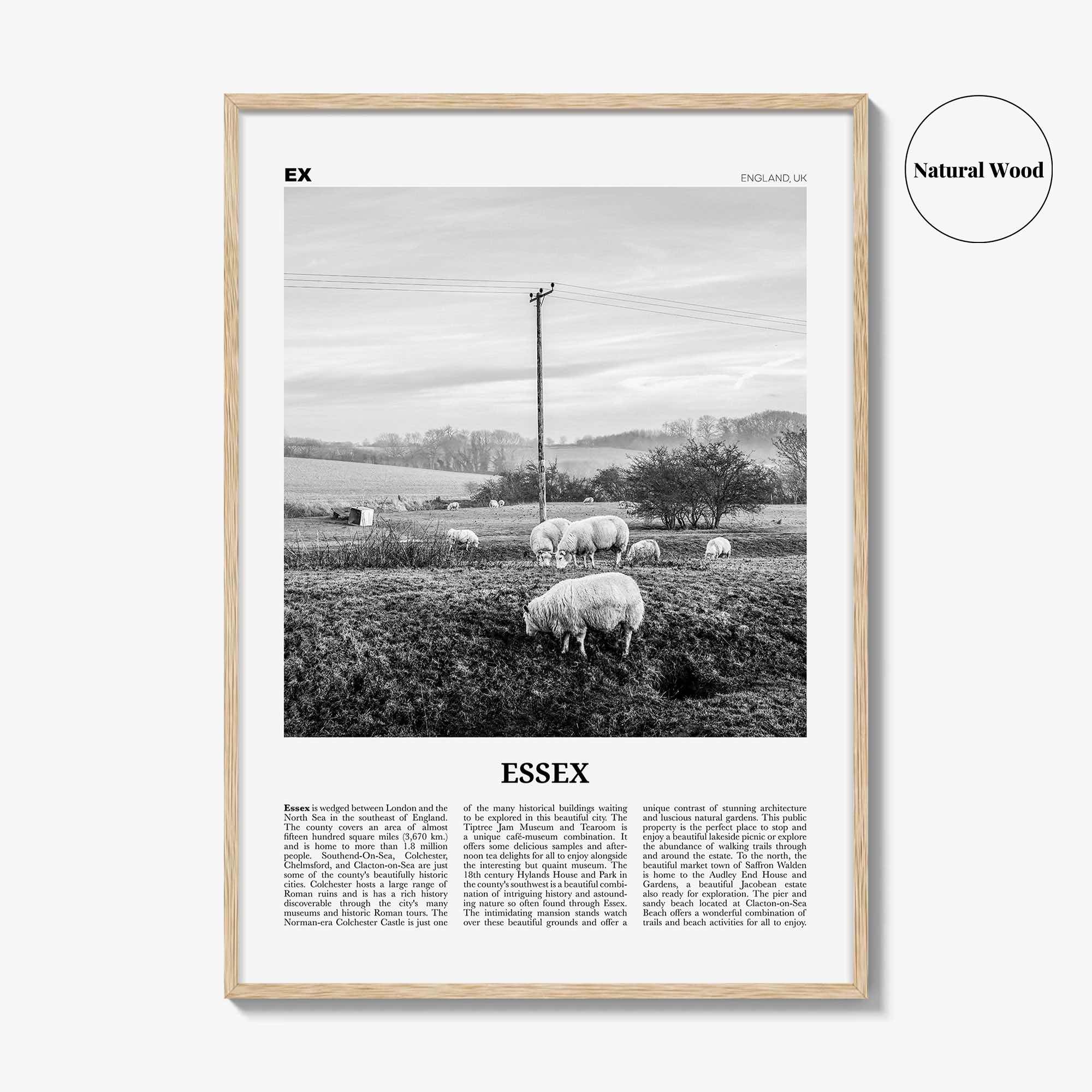 Essex Print Black and White, Essex Wall Art, Essex Poster, Essex Photo, Essex Map, England, UK, United Kingdom