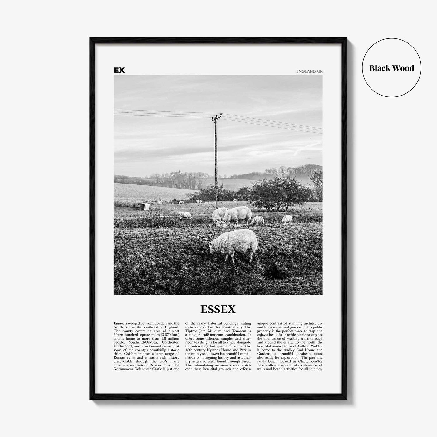 Essex Print Black and White, Essex Wall Art, Essex Poster, Essex Photo, Essex Map, England, UK, United Kingdom