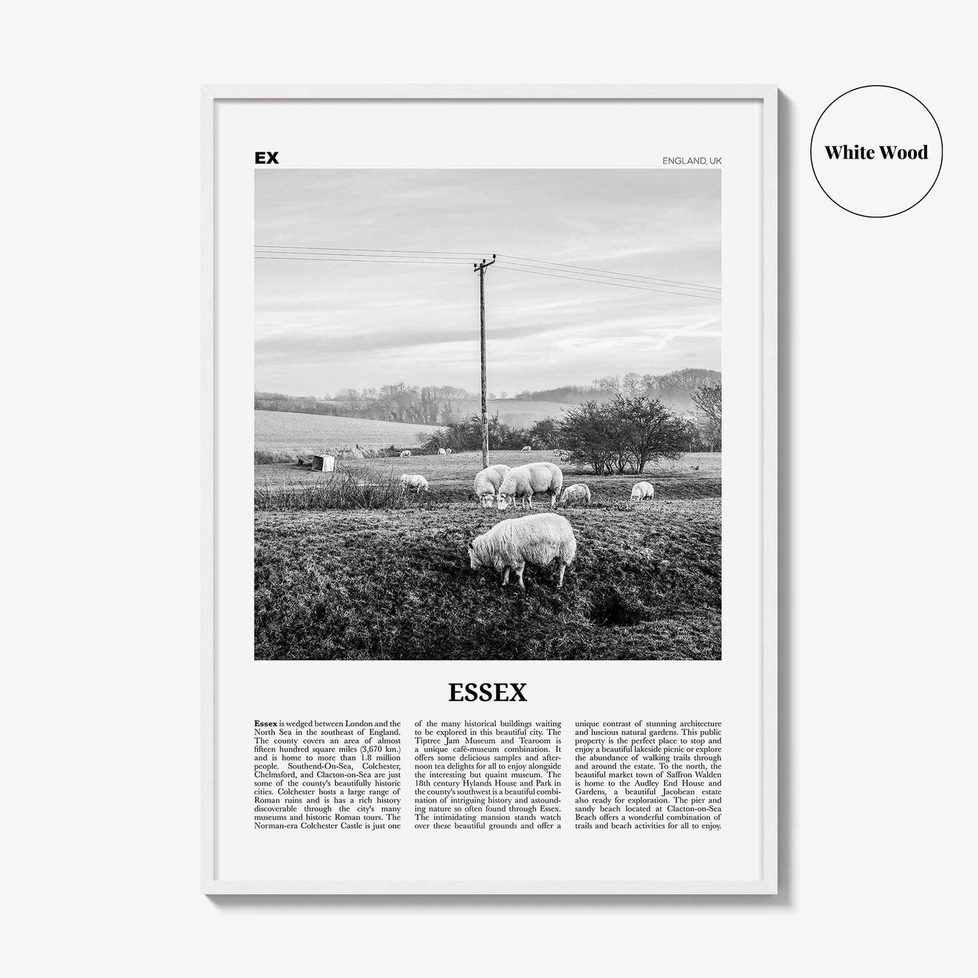 Essex Print Black and White, Essex Wall Art, Essex Poster, Essex Photo, Essex Map, England, UK, United Kingdom