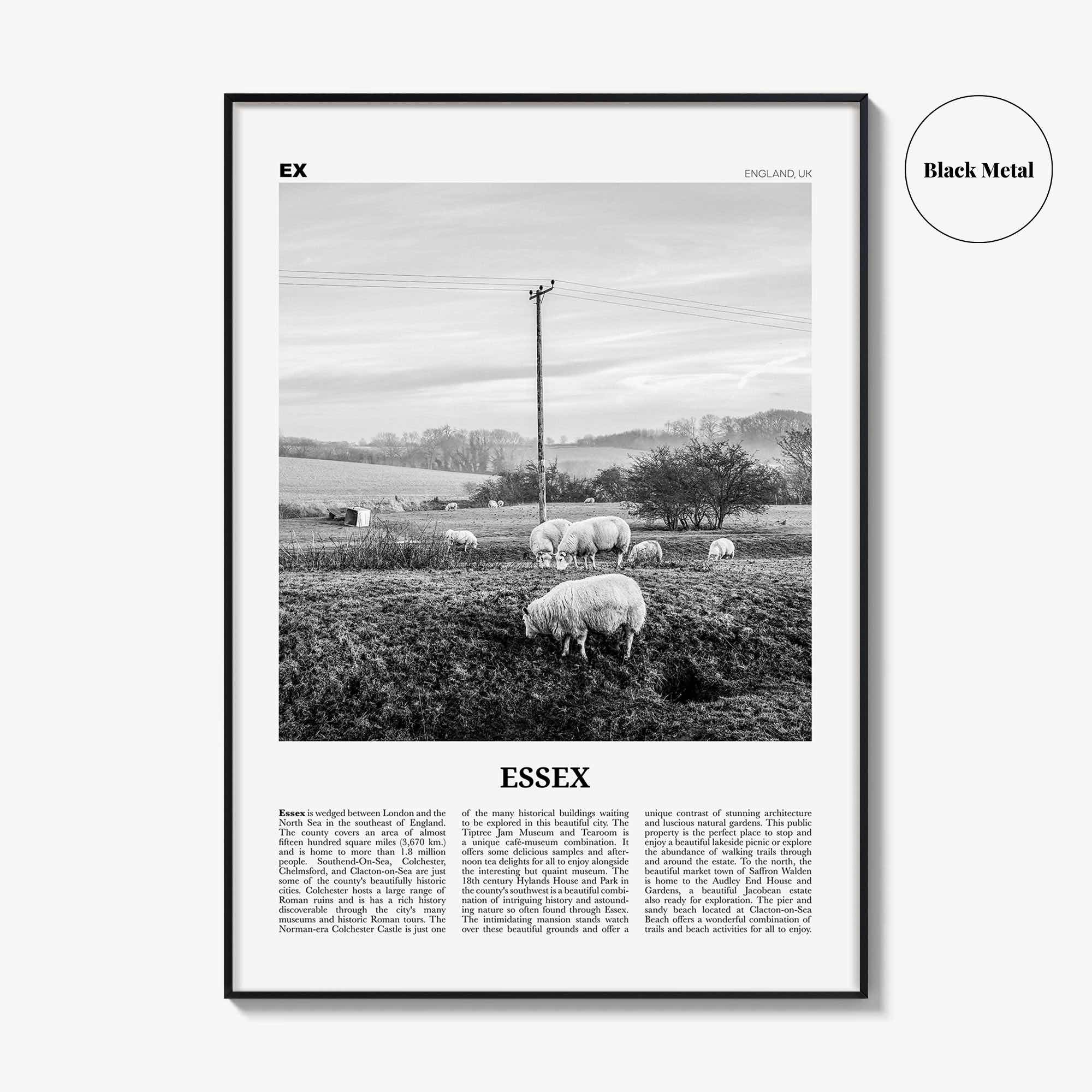 Essex Print Black and White, Essex Wall Art, Essex Poster, Essex Photo, Essex Map, England, UK, United Kingdom